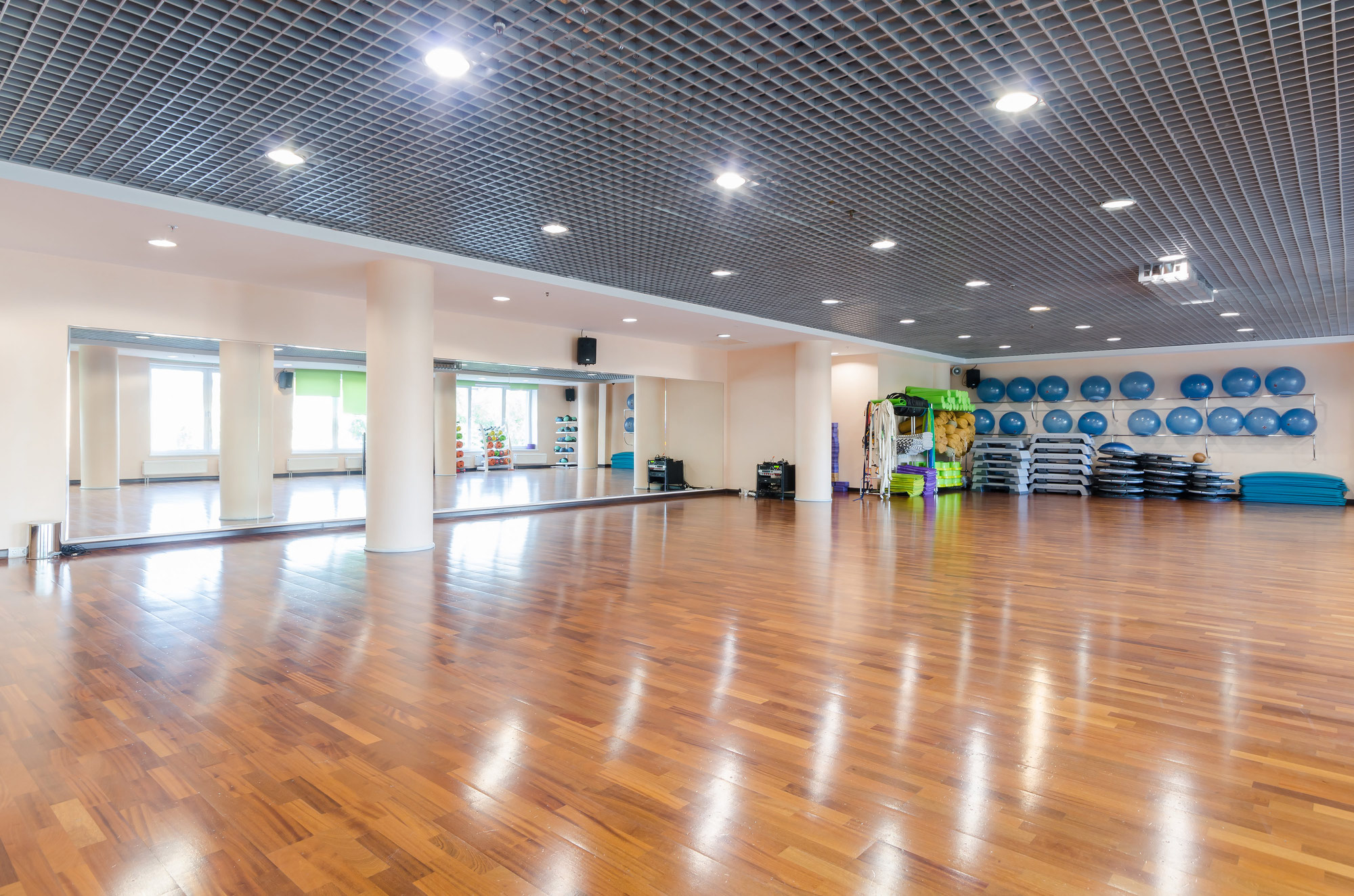 X fit динамо монарх. X fit монарх. Premium монарх xfit. X fit монарх фото. X fit монарх.