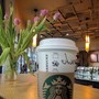 фото Starbucks 3