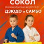 Спортивный клуб Сокол