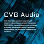 ООО «Системы фонового озвучивания»