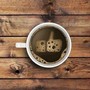 фото Экспресс-кофейня Tasty coffee 4