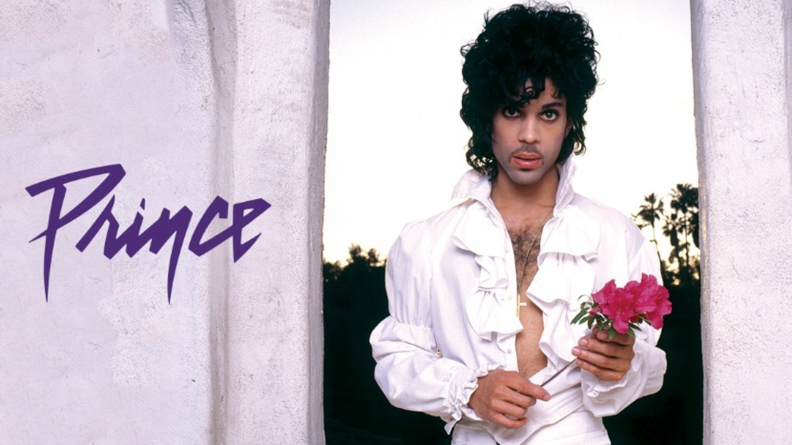 Purple Rain: La Balada Eterna que Catapultó a Prince al Olimpo del Rock Mundial