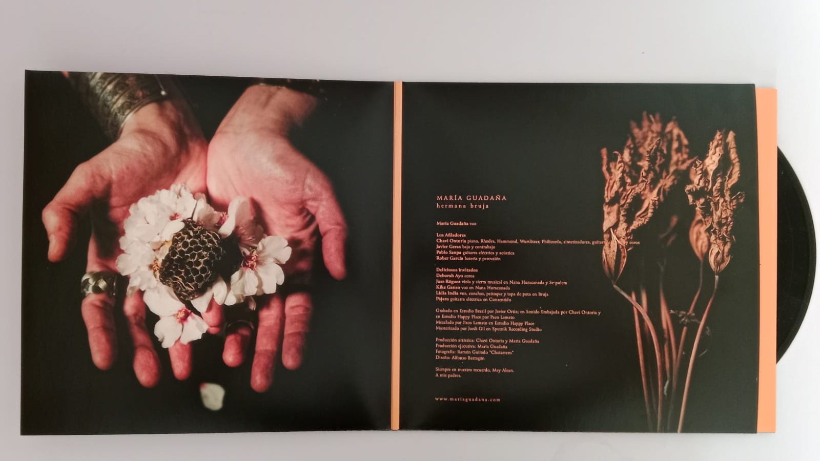 María Guadaña Hechiza en "Los Acústicos de Extra Jaén" con su Último Álbum, "Hermana Bruja"