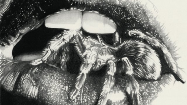 MASHEENA: El rugido noruego regresa con "Sara Lost Her Way" y nuevo álbum grabado en el desierto