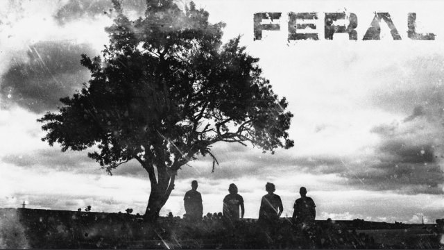FERAL Presenta Su Nuevo EP: "Polvo y Cenizas"