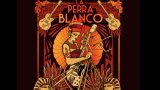 ¡Vuelve el Rock and Roll Crudo! La Perra Blanco Anuncia Gira 2026 y Nuevo Disco Producido por Jimmy Sutton