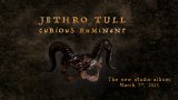 Jethro Tull anuncia su nuevo disco "Curious Ruminant" y una gira para 2025