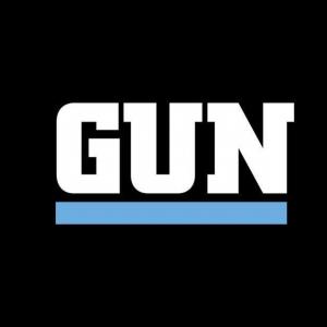 Gun
