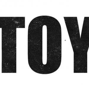 Toy
