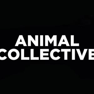 Animal Collective