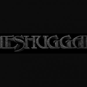 Meshuggah