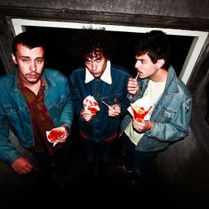 The Parrots