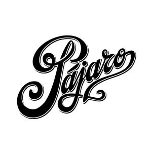 Pájaro