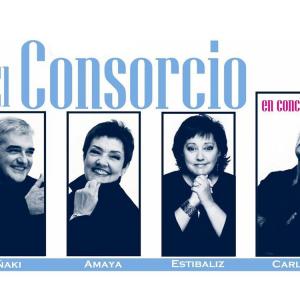 El Consorcio