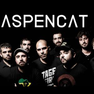 Aspencat