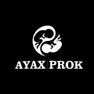Ayax & Prok