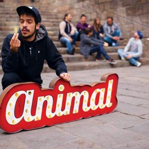 Animal (Cat)