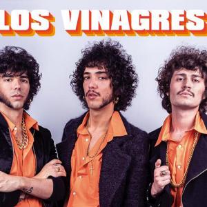 Los Vinagres
