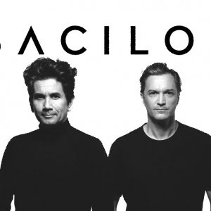 Bacilos