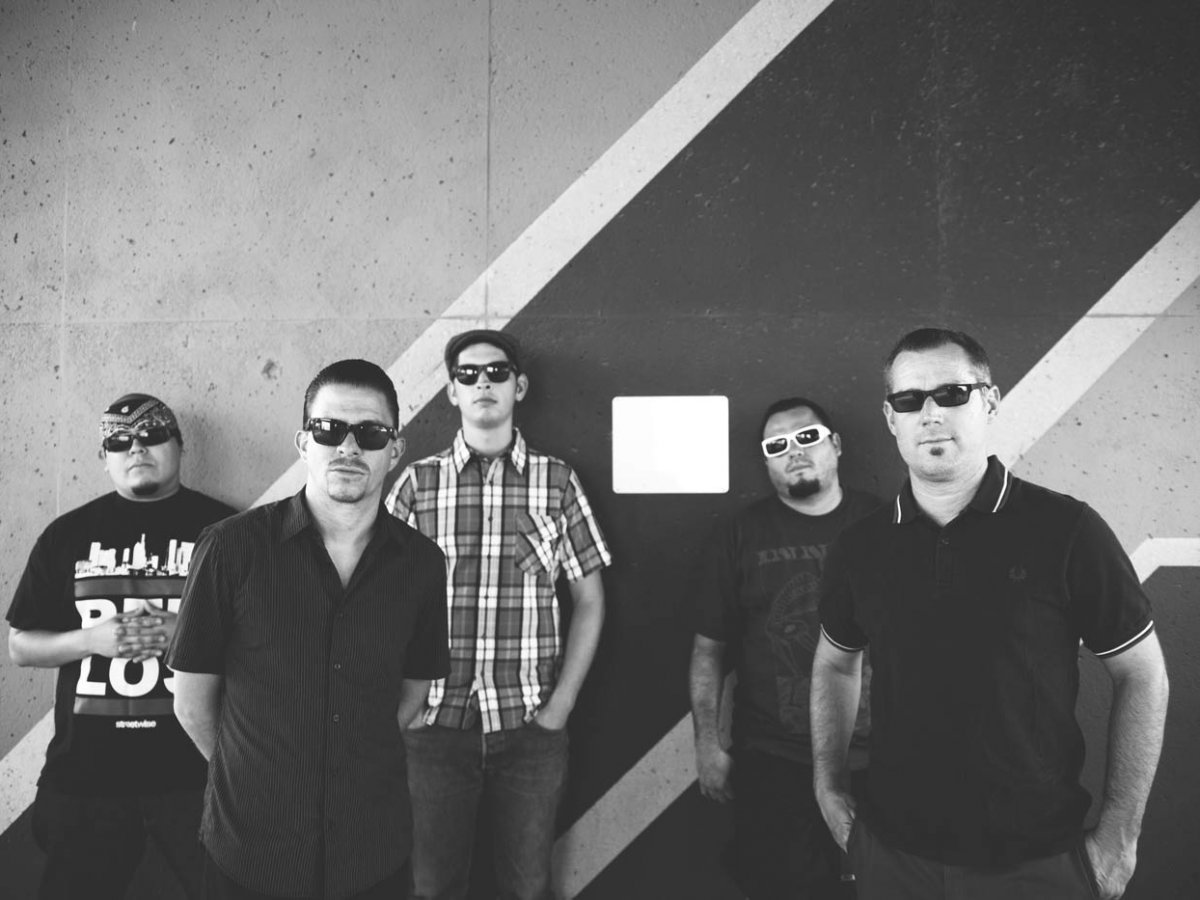 The Aggrolites