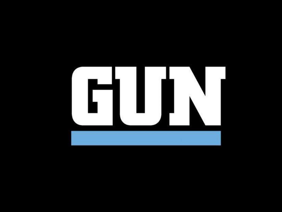 Gun