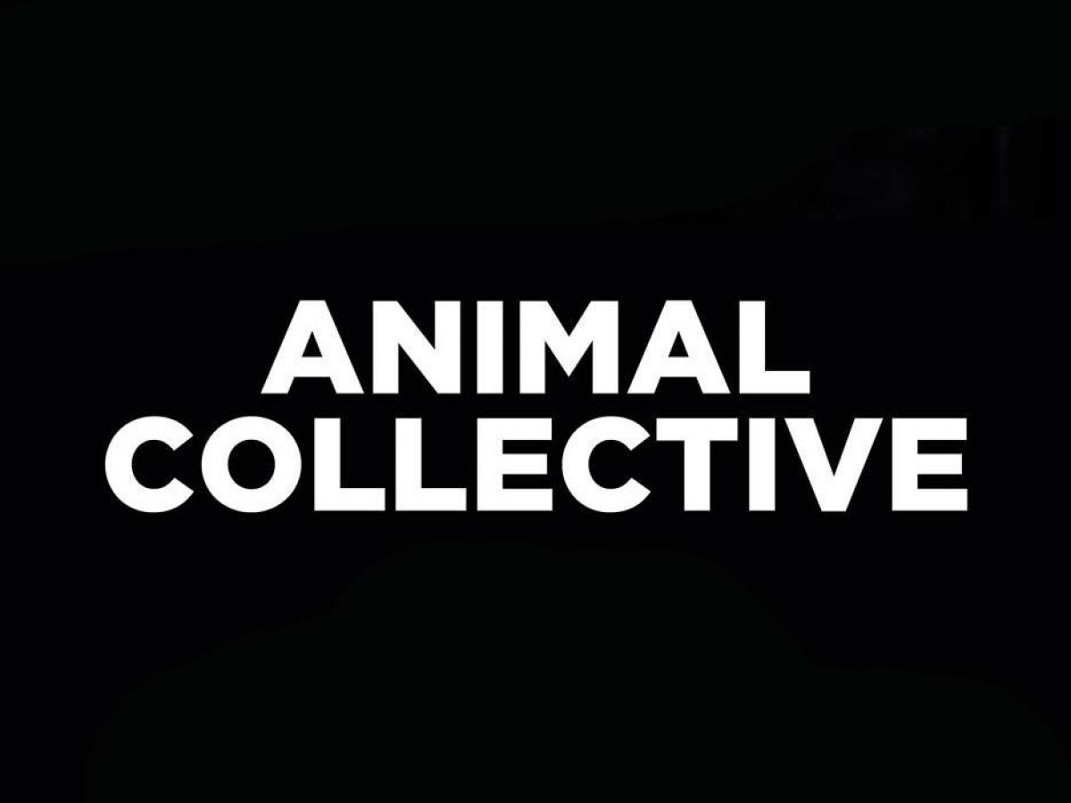 Animal Collective
