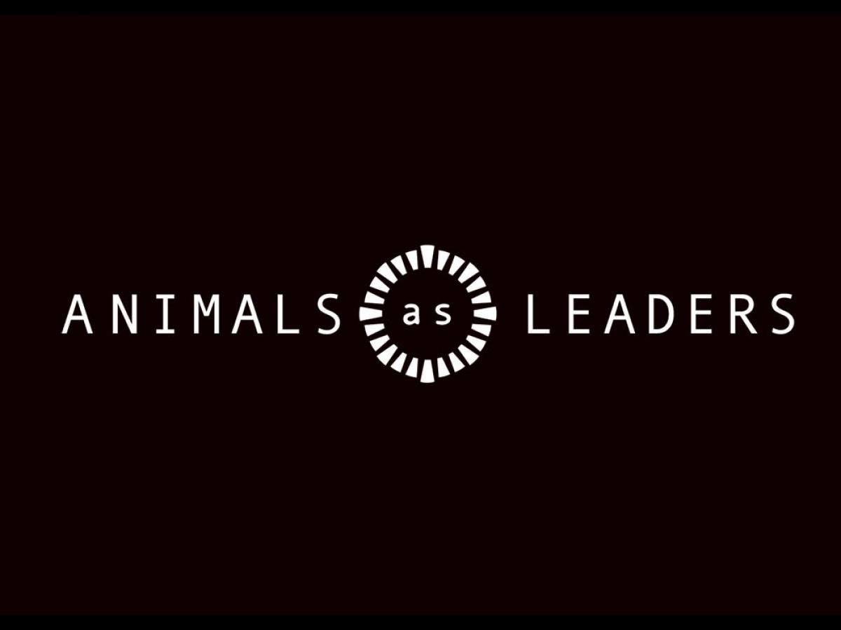 Animals as Leaders