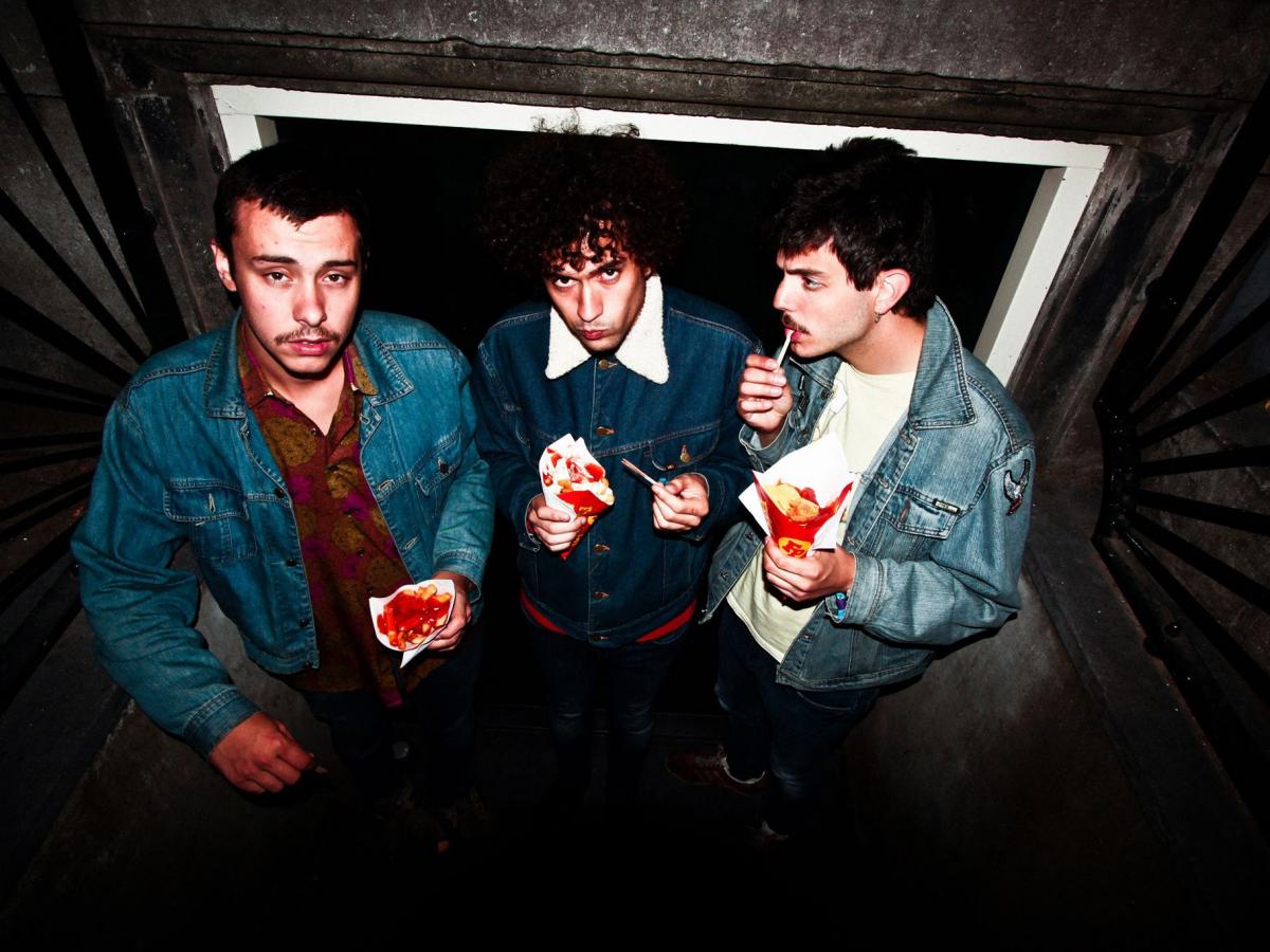The Parrots