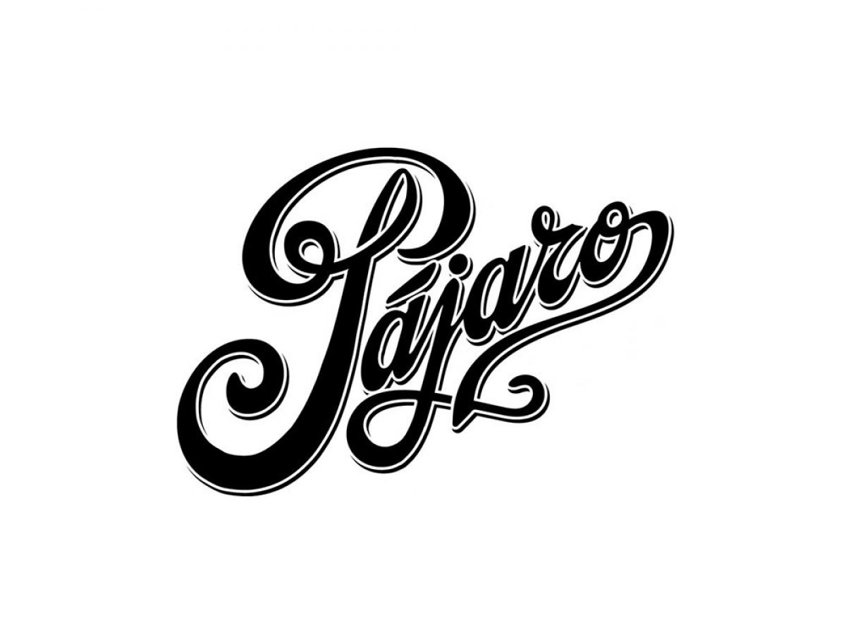 Pájaro