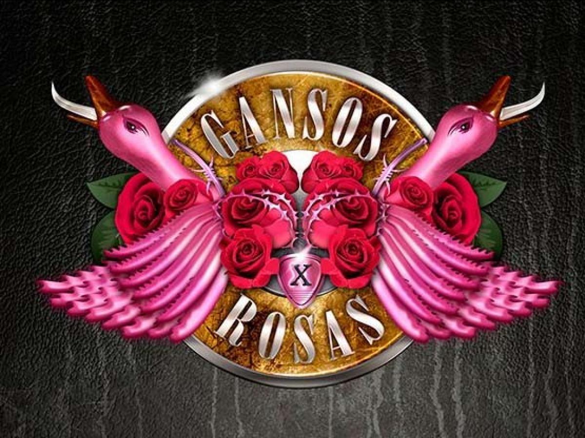 Gansos Rosas