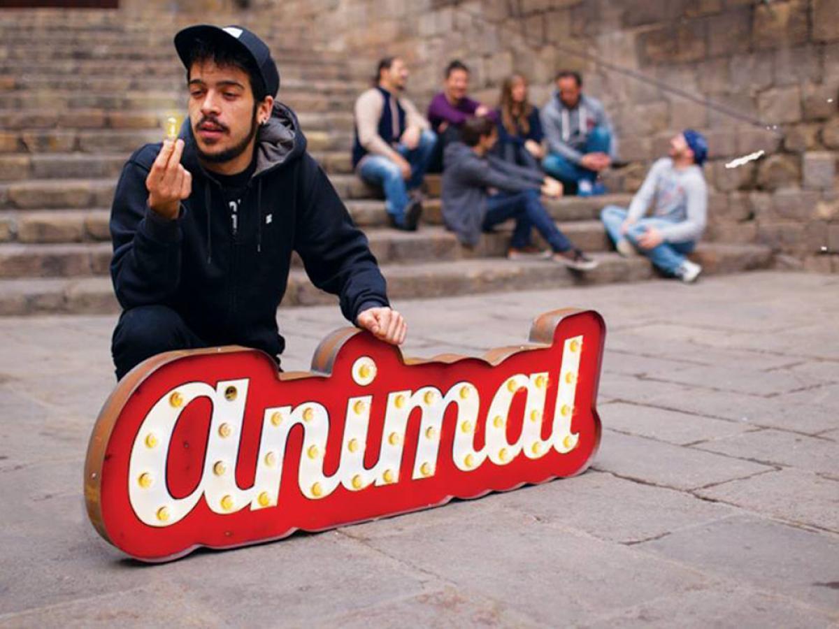 Animal (Cat)