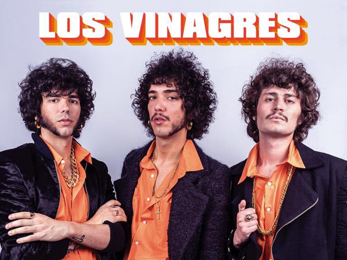 Los Vinagres