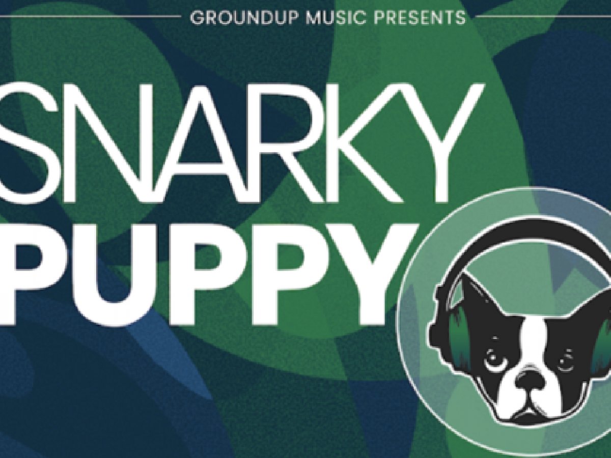 Snarky Puppy