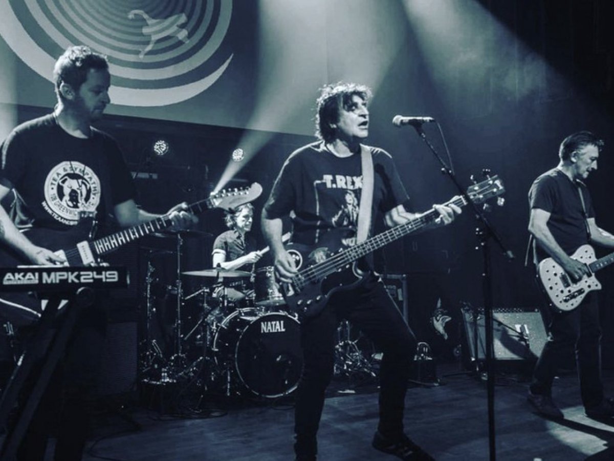 The Chameleons