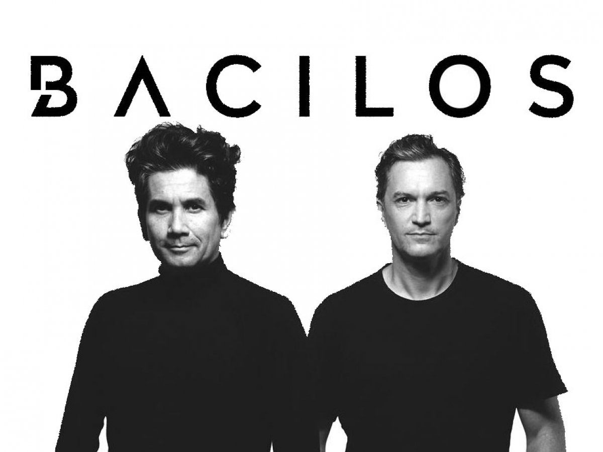 Bacilos