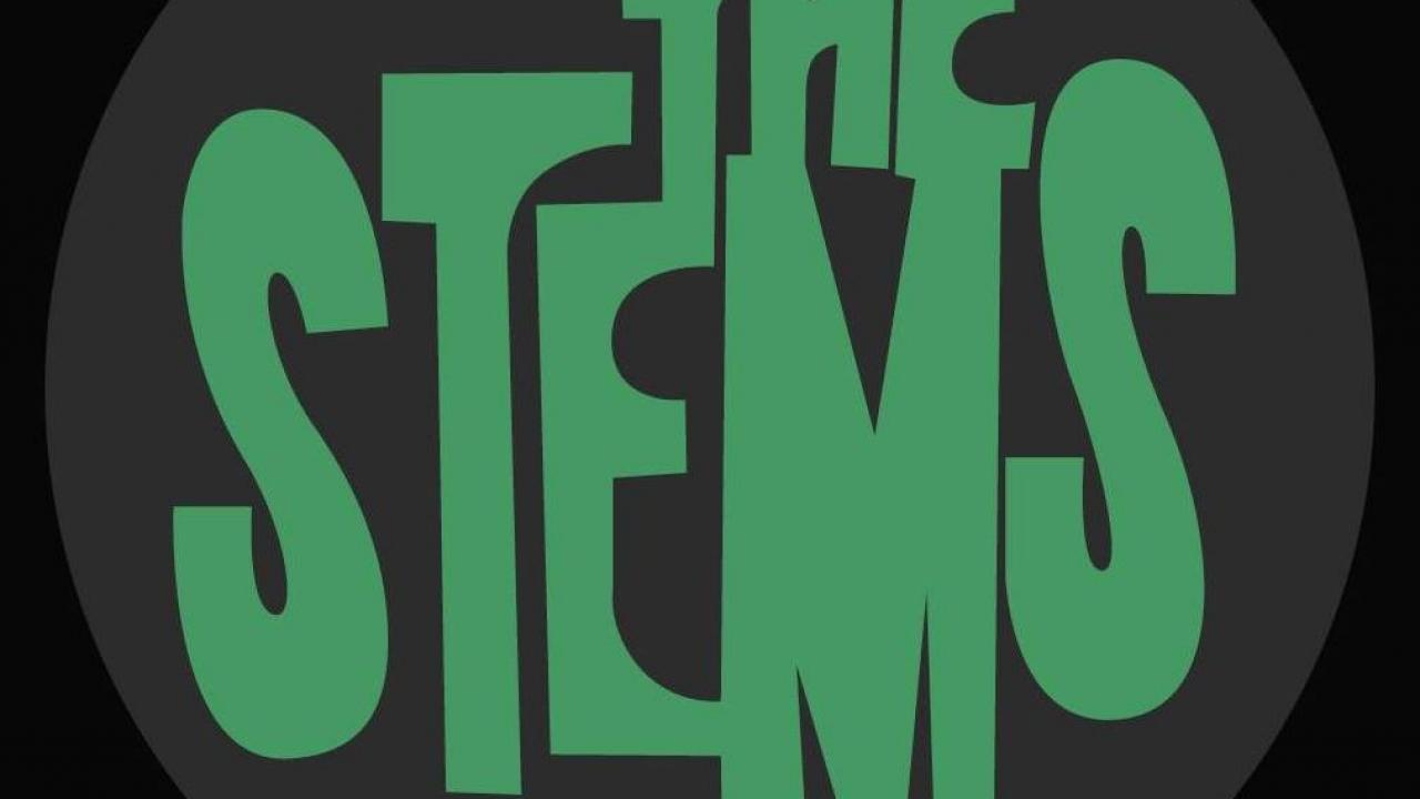 The Stems