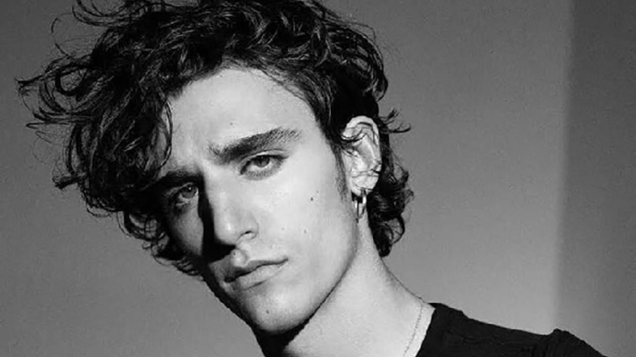Tamino