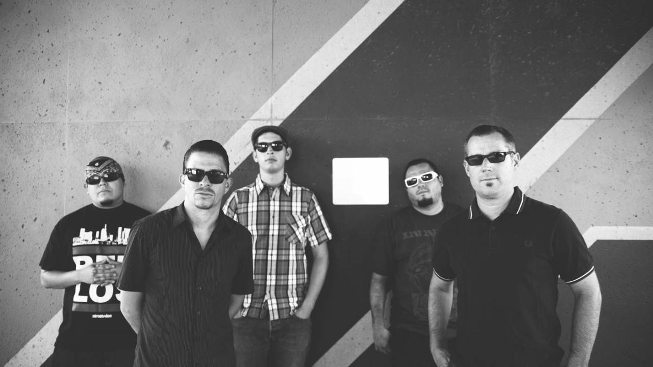 The Aggrolites