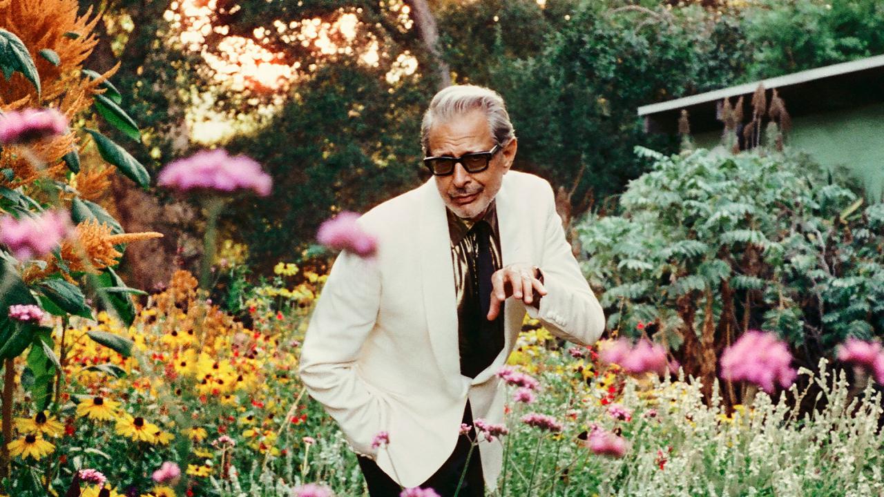 Jeff Goldblum & the Mildred Snitzer Orchestra