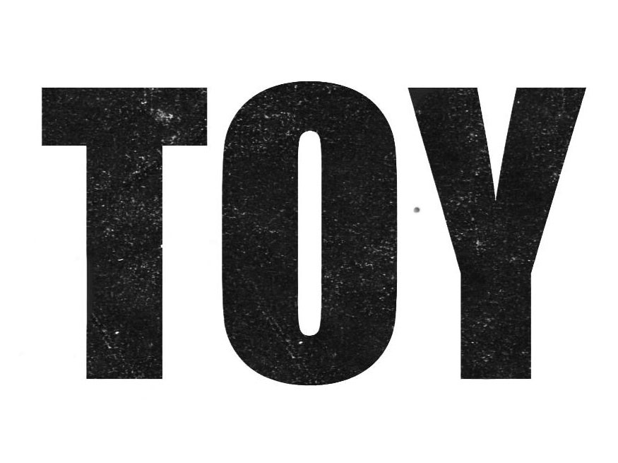 Toy