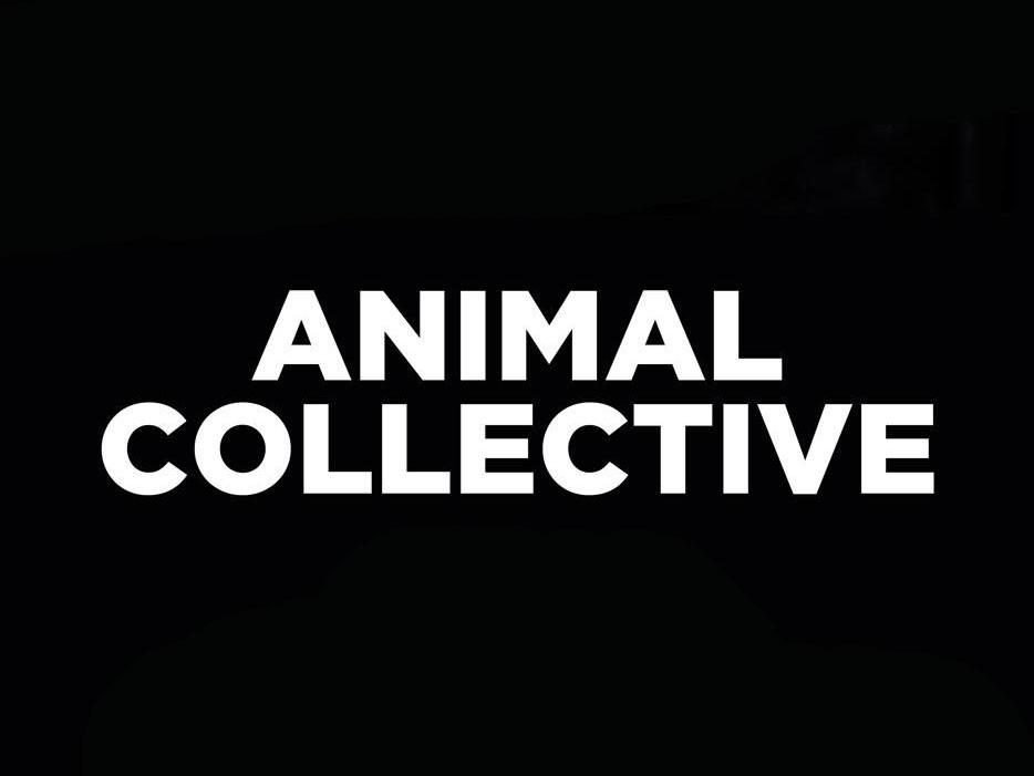 Animal Collective
