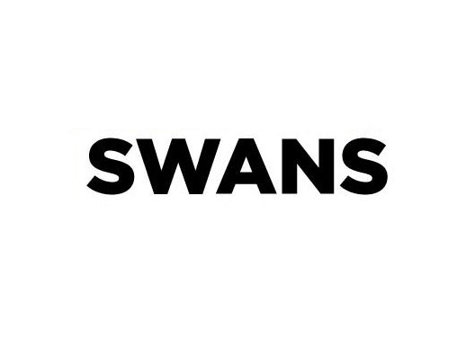 Swans