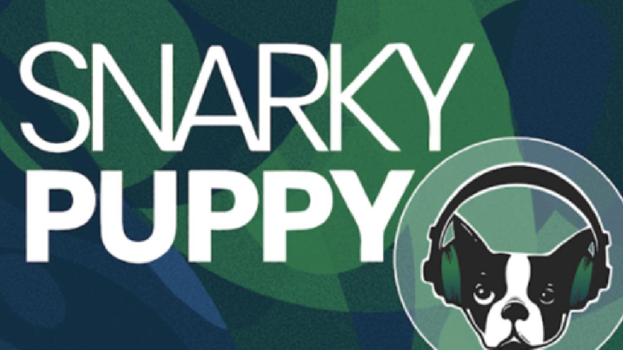 Snarky Puppy