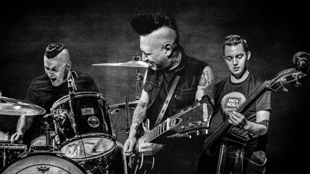 The Brains