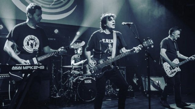 The Chameleons