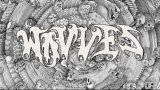 Foto de Wavves
