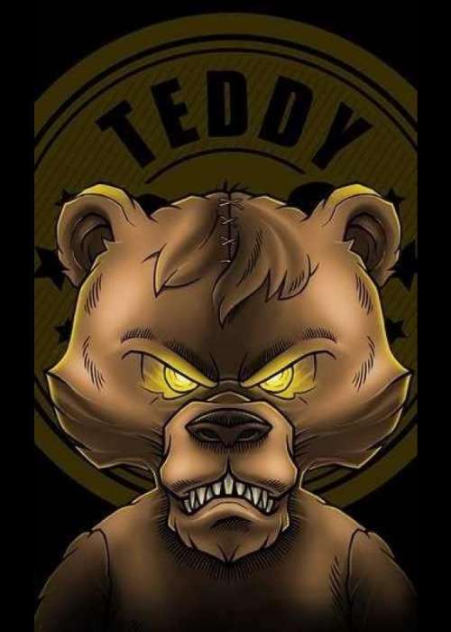 Teddy Killerz