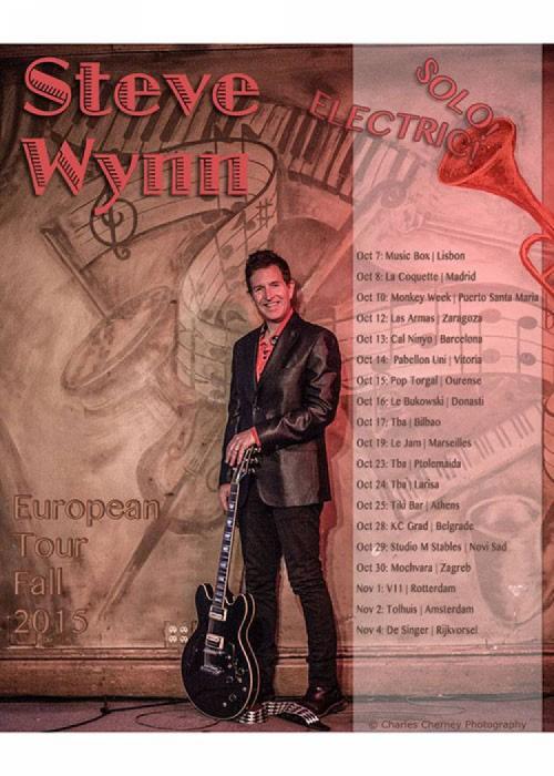 Cartel de Concierto de Steve Wynn en Donosti