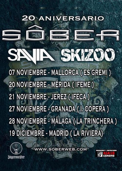Cartel de Concierto de Sôber en Jerez de la Frontera