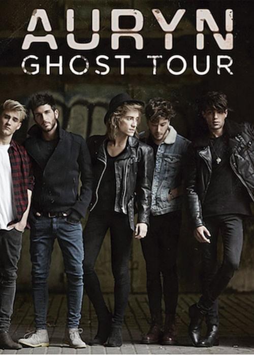 Cartel de Concierto de Auryn en Valencia